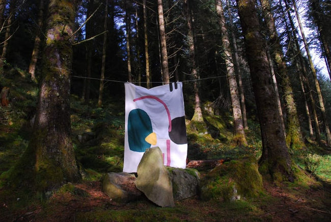 Public art textiles hanging in woods 