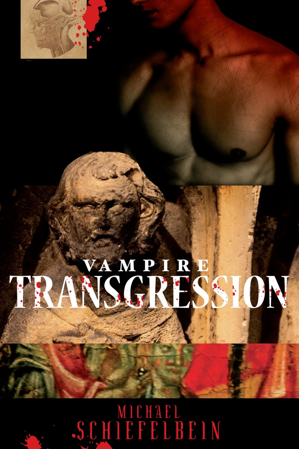 Vampire Transgression (Vampires Book 3)