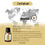 Thumbnail: Cardamom Essential Oil 5ml