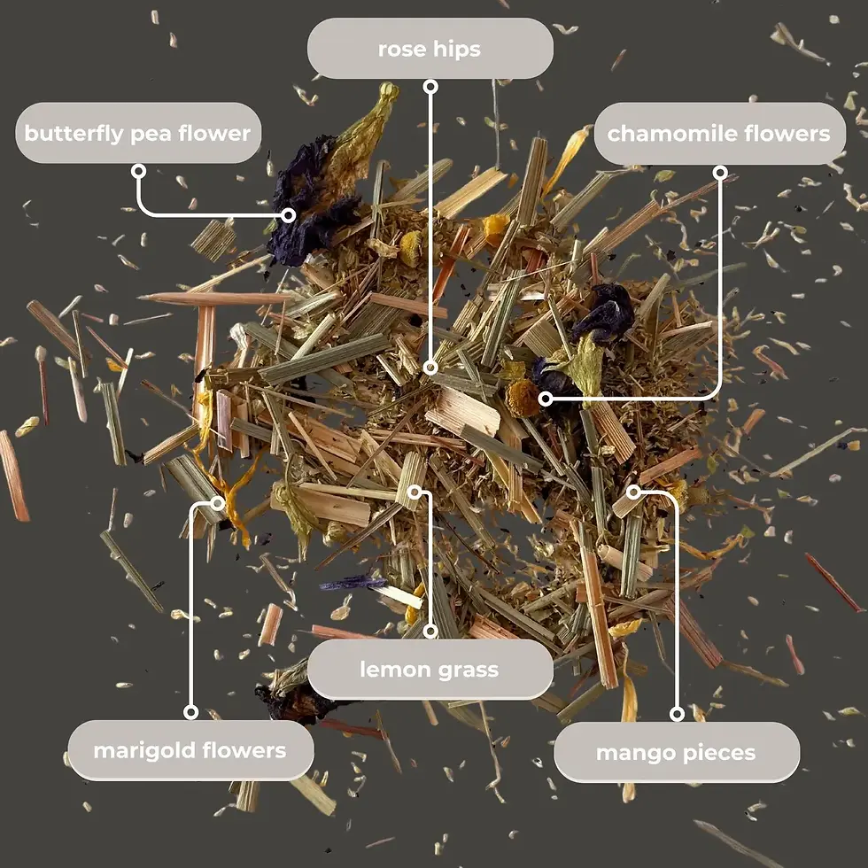 Thumbnail: Holiday Herbal Mini Tube Gift (5 Tea Bags)