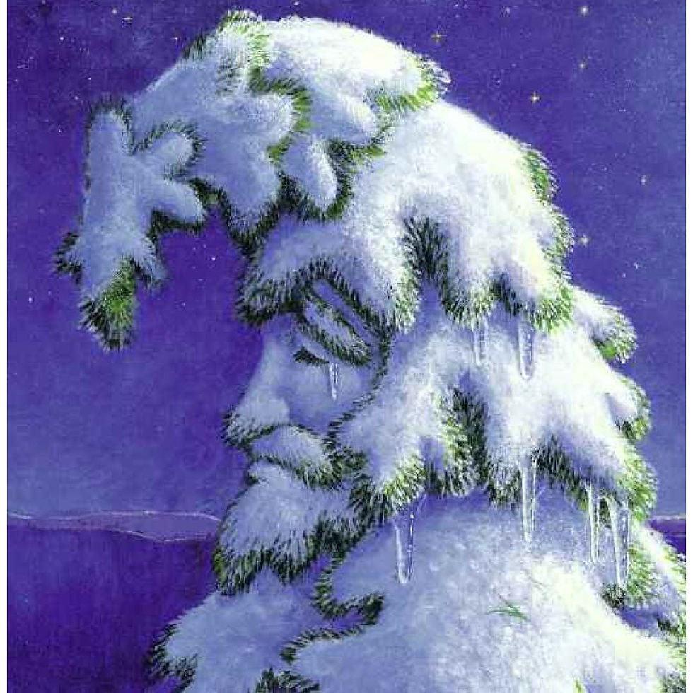 Thumbnail: A Wish To Be A Christmas Tree Board Book