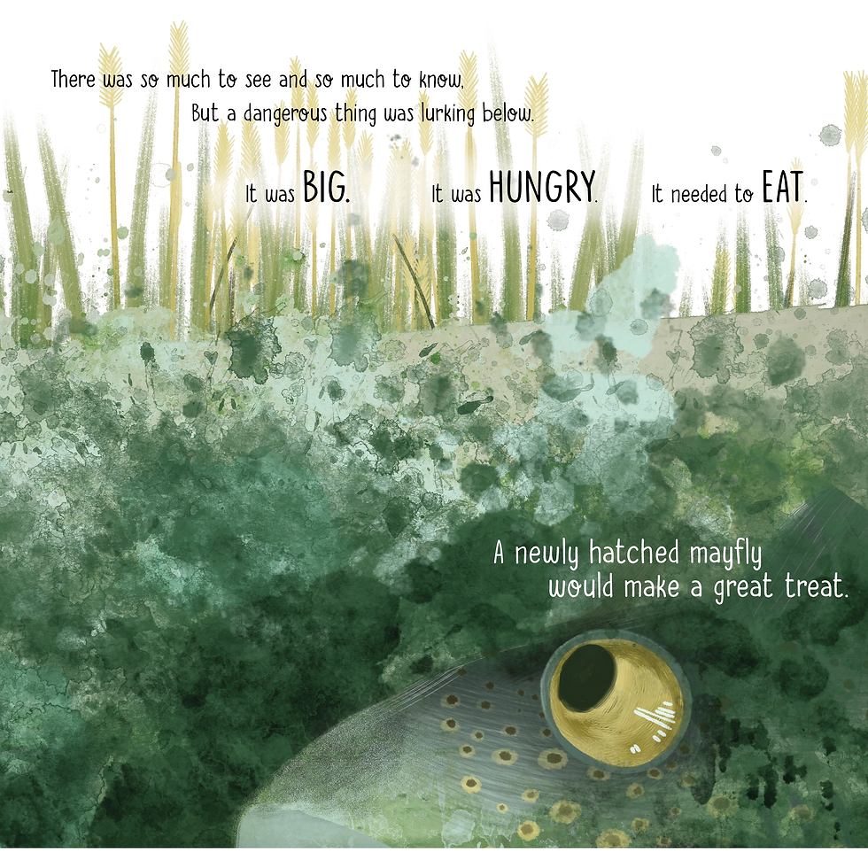 Thumbnail: Mae the Mayfly Book