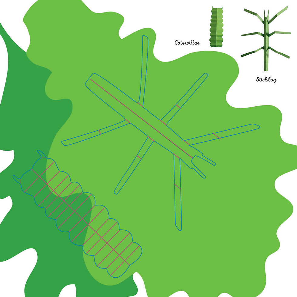 Thumbnail: Insects: Fold and Play | Origanimo