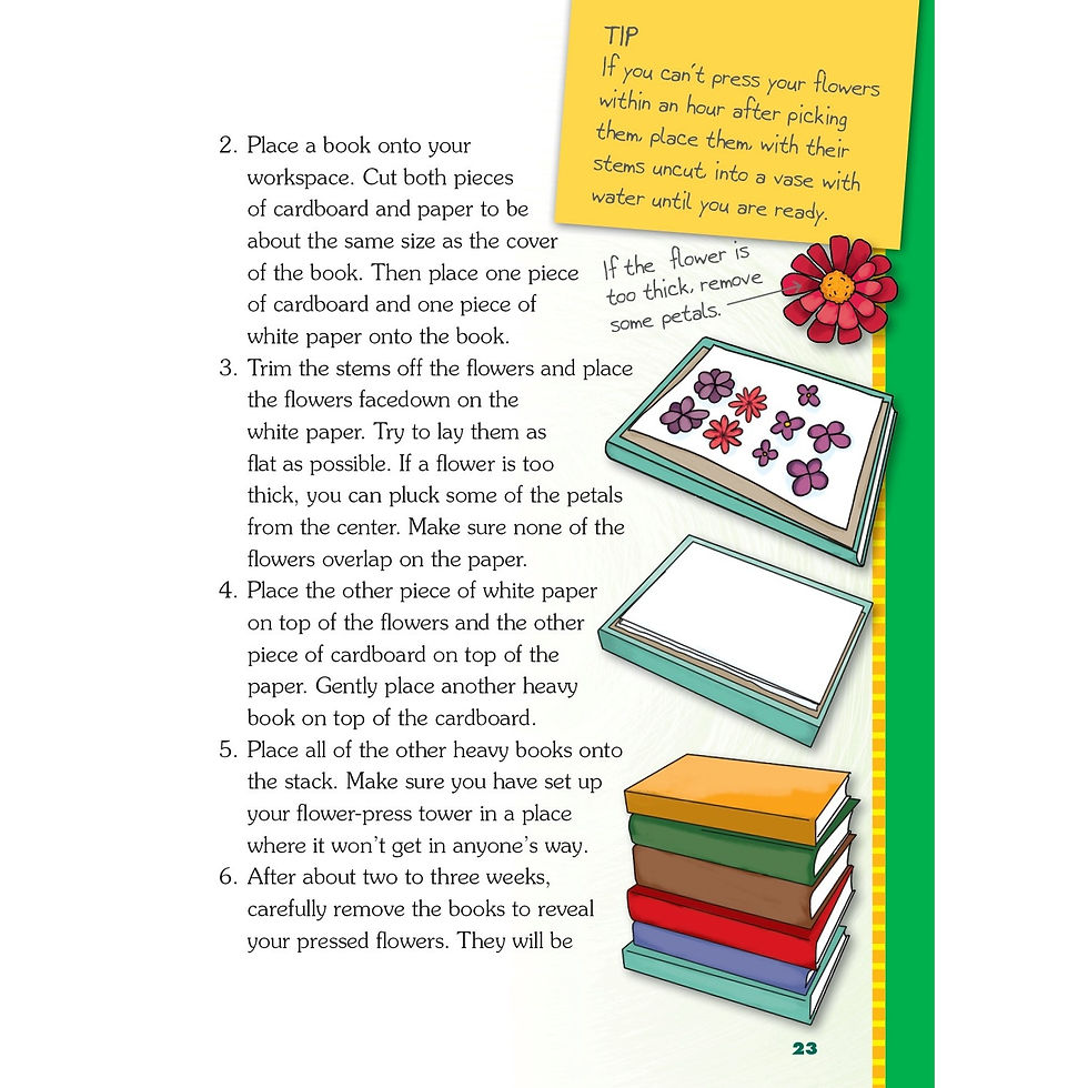 Thumbnail: Creating Crafts from Nature