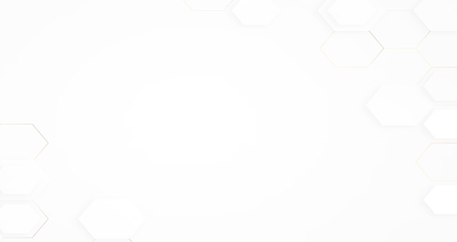 bg2.png