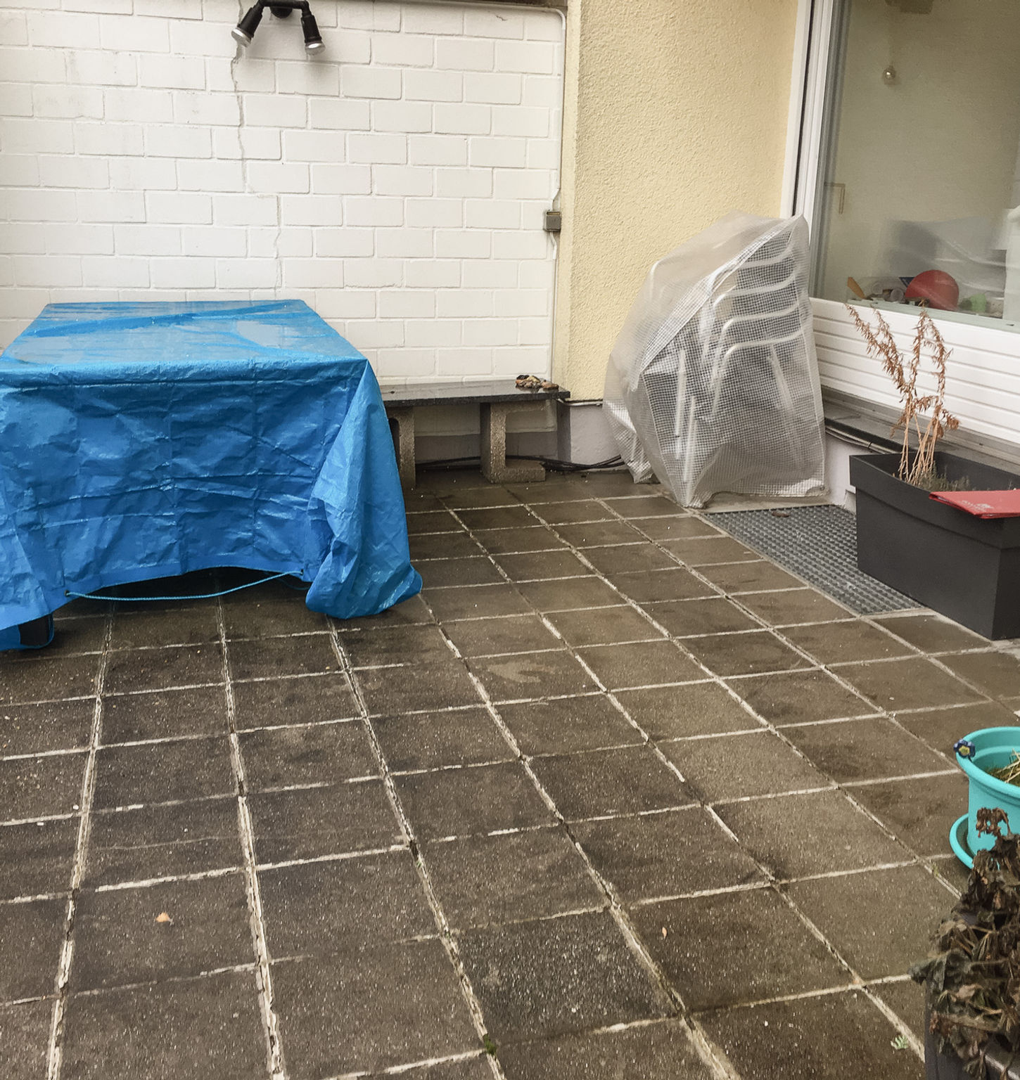 Überdachte Terrasse mit Tisch, Pflanzen und Gartenmöbeln