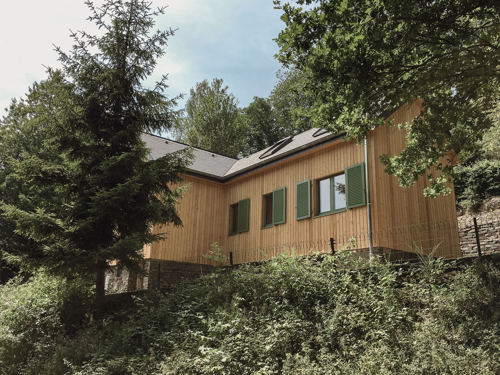 Fenster, Haustür Renovierung mit komplettem Innenausbau von einem Ferienhaus, Außenansicht, Fensterrahmen grün, olive, Wald