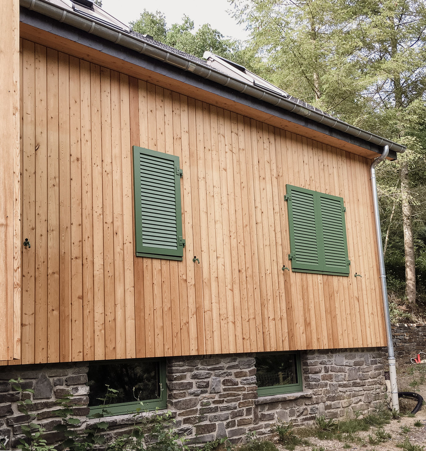 Fenster, Haustür Renovierung mit komplettem Innenausbau von einem Ferienhaus, Außenansicht, Fensterrahmen grün, olive, Wald, Sonnenschutz