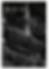 Blvd33_02_2026_edited.png