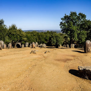 Vista do centro do Cromeleque onde se pode avistar a cidade de Évora.