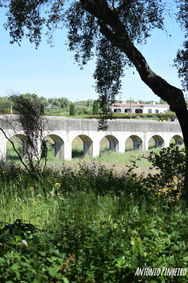 Troço do aqueduto, pormenor das arcadas e do meio rural que o envolve (sentido Évora – Graça do Divor).