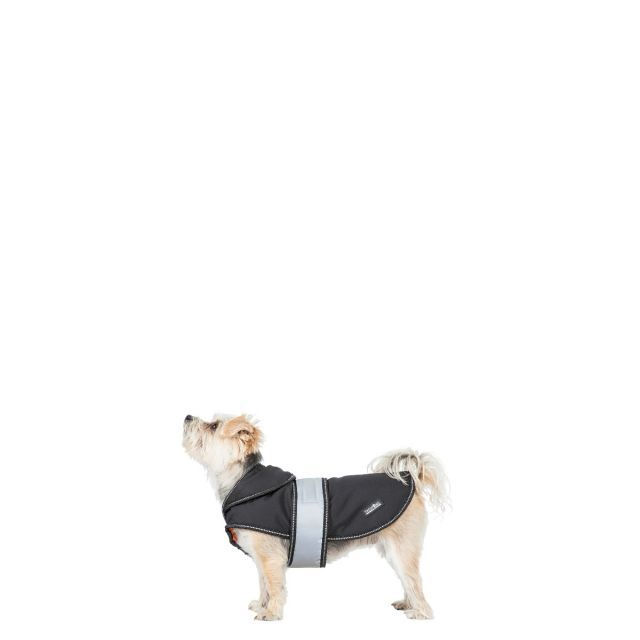 Thumbnail: Trespaws Butch Softshell Jacket