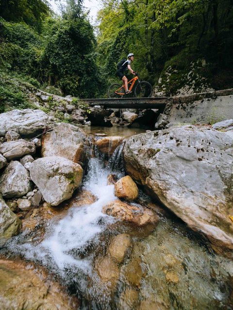 WhatsApp Image 2022-12-19 at 10.30.10 (3).jpeg