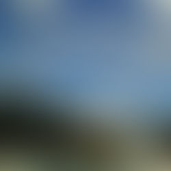 a song a day :: perth