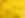 jonquille 9.webp