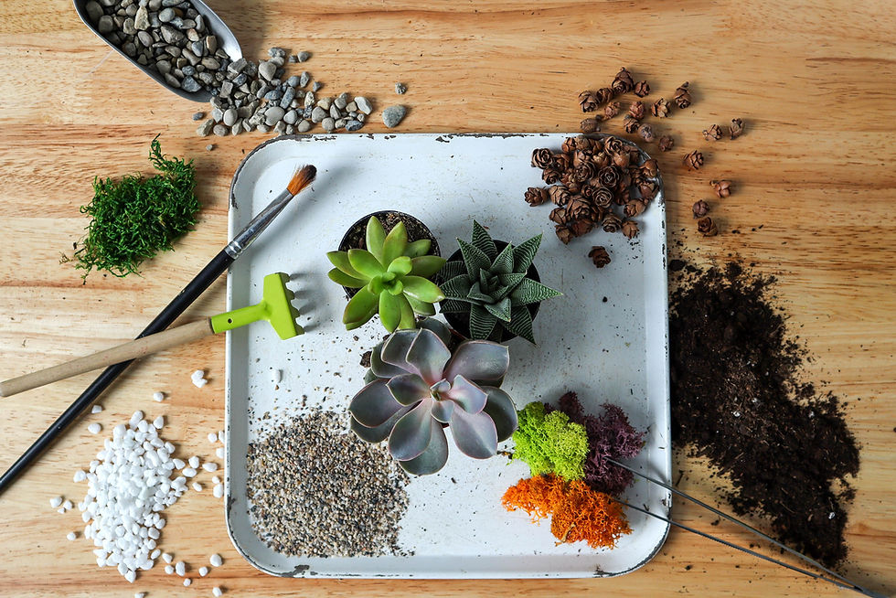 TerrariumWorkshop01.jpg