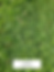 ZOYSIA MATRELLA