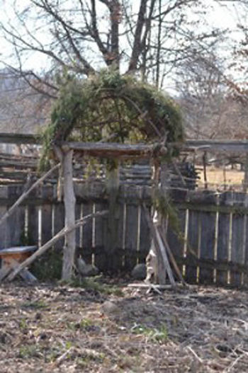 According to Matt, this early Native American platform used by the hunter-gatherer communities of the Potomac will support runner beans and be surrounded by Jerusalem artichokes and groundnuts.