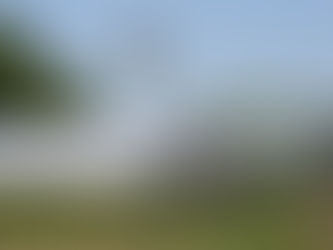 Field Notes: Volume 16, Number 7