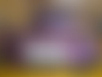 STRIPE YOUNG SCIENTIST FAIR