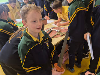 The Vikings in St Leonard's