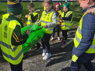 National Spring Clean