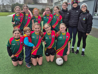 Mini 7s Gaelic Football