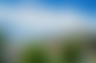 風水は家の中だけでなく、屋外も大切