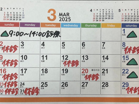 🌸 3月の予定表  🎎