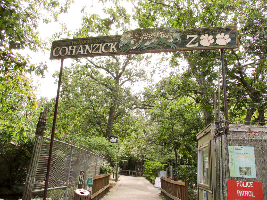 Bridgeton zoo christmas lights