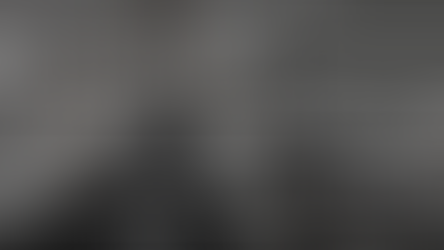 ¿Por qué es importante contar con un modelo de servicio dentro de las organizaciones?