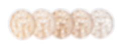 DD Bio ZX³ color (5)2.png
