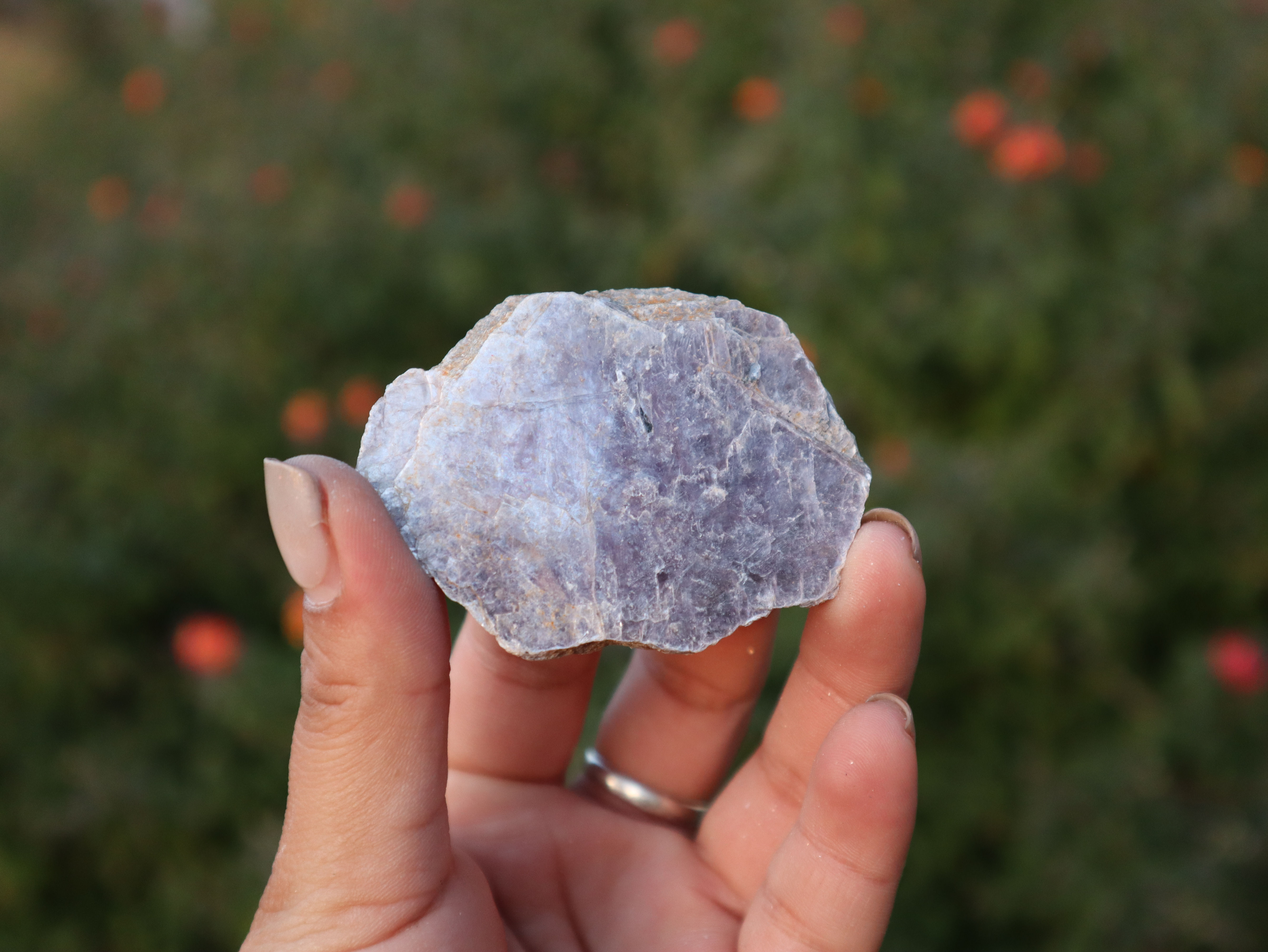 Lepidolite Mini Slabs