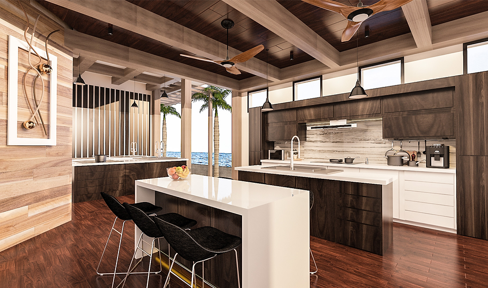 ID5- CO-KITCHEN.png