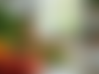 Simplify Your Home-Cooked Meal Planning Today