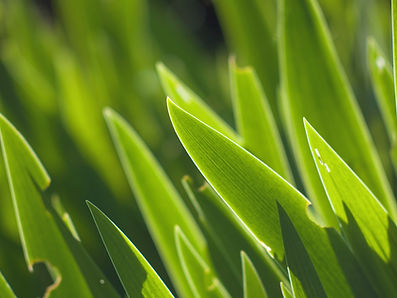 The Nail Garden is up to code on NJ's air quality control. Our ventilation system cleans toxic chemicals, dusts and bacteria out of the air, offering safer and cleaner air!