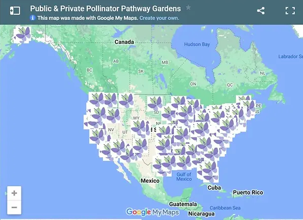 Pollinator Pathway Map