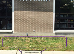 Black Long Tail Butterfly.jpeg