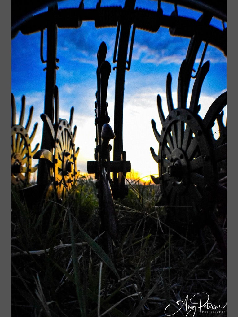 Expectations: The Silent Contract in Farming Relationships and Business Partnerships