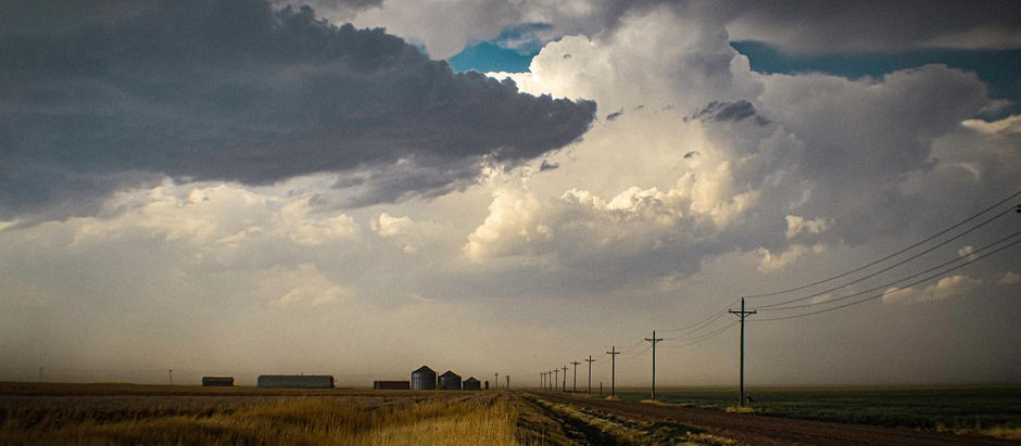 Echoes of Kansas: My Ultimatum as a Farmer's Wife