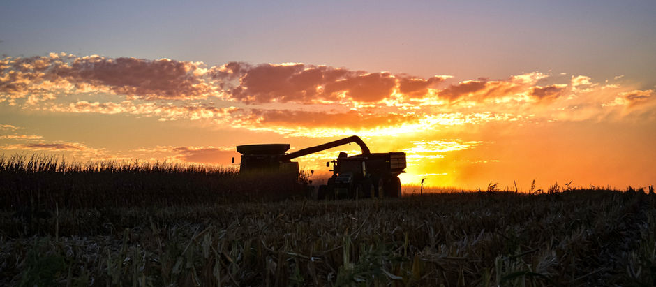 Embracing Unpredictability: Navigating Life on a Farm