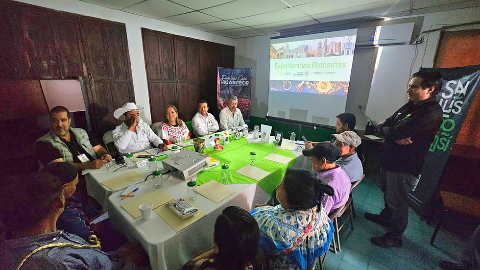 RUTA DEL CAFÉ FORTALECERÁ EL DESARROLLO PRODUCTIVO Y TURISTICO DE LA HUASTECA
