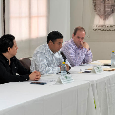 CABILDO APRUEBA ACUERDOS EN MATERIA EDUCATIVA, LEGISLATIVA Y DE DESARROLLO COMUNITARIO