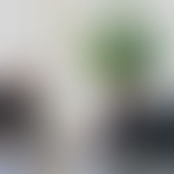 RGC Y DAMS ANUNCIAN RECONSTRUCCIÓN DEL CIRCUITO A LA CORDILLERA TÉNEK Y MÁS ILUMINACIÓN PARA LAS COMUNIDADES DE CIUDAD VALLES 