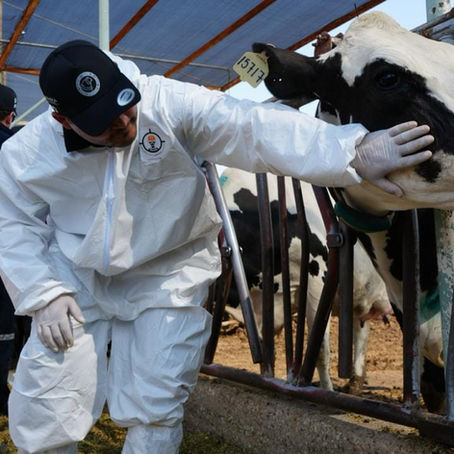 ESTADO REFUERZA PREVENCIÓN DE GUSANO BARRENADOR EN PERSONAS