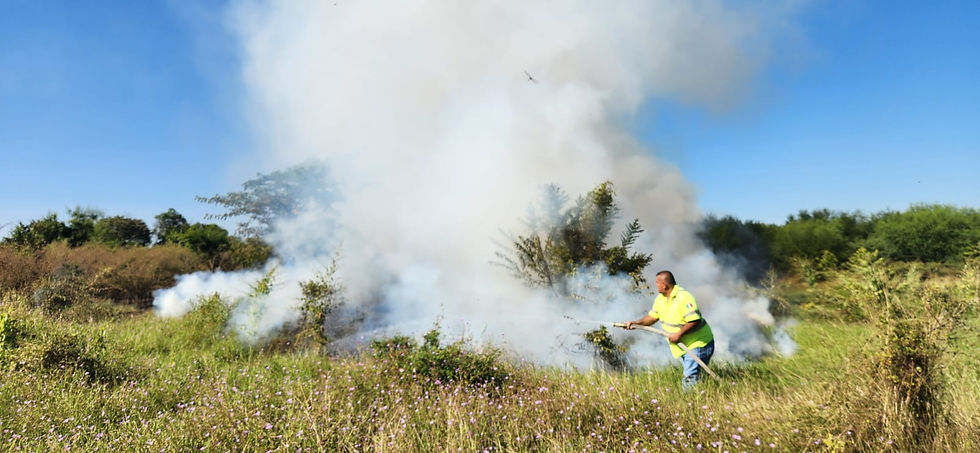 PROTECCIÓN CIVIL MUNICIPAL Y BRIGADISTAS DE LA CONAFOR ATIENDEN DIVERSOS INCENDIOS DE PASTIZALES