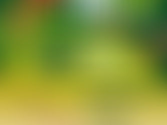 Invitan al Desfile de la FENAHUAP en Ciudad Valles