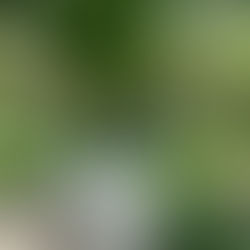 CIUDAD VALLES HACE HISTORIA CON EL PRIMER ESPACIO “VIDA INCLUYENTE” PARA PERSONAS CON DISCAPACIDAD