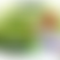 Continúa el trámite de precartilla militar en Ciudad Valles