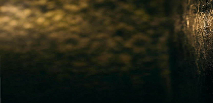 Revised Background (1).png